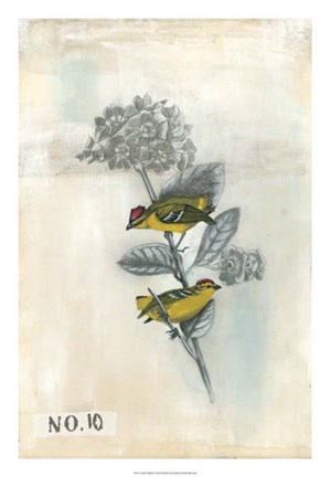 Framed After Flight II Print