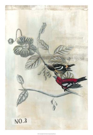 Framed After Flight III Print