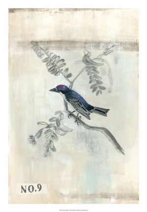 Framed After Flight IV Print