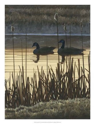 Framed First Light II Print