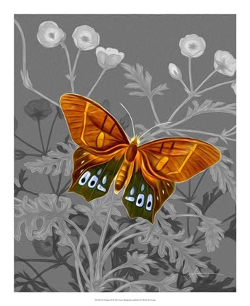 Framed On Display III Print