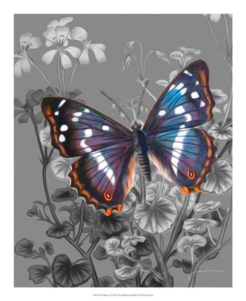 Framed On Display VI Print