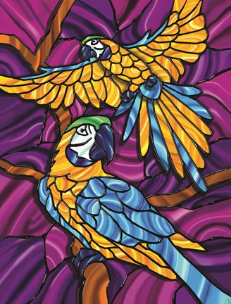 Framed Parrot A Print