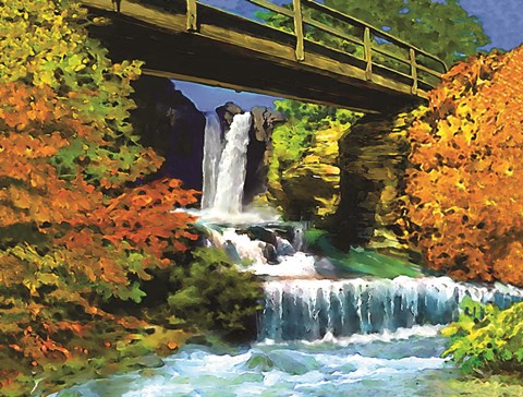 Framed Waterfall C Print