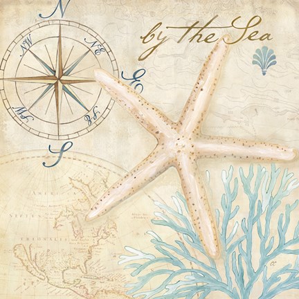 Framed Nautical Shells I Print