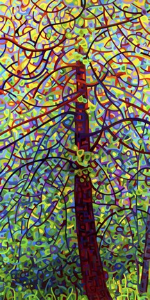 Framed Kaleidoscope Print