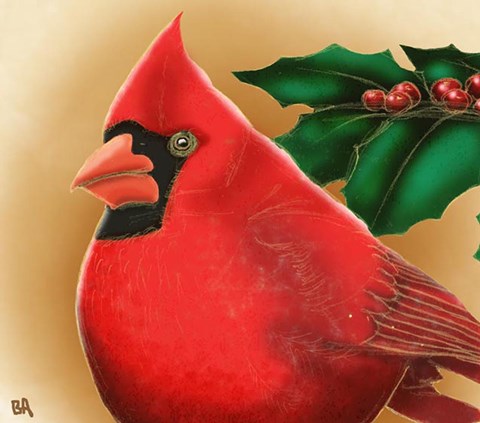 Framed Cardinal Print