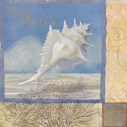 Framed Ocean Beauties I Print