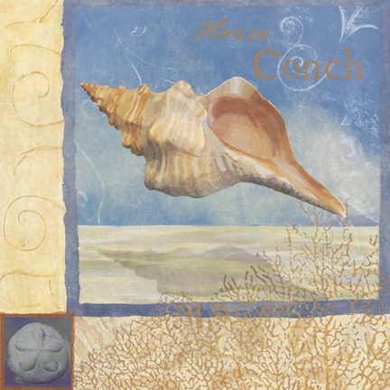 Framed Ocean Beauties III Print