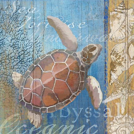 Framed Turtle and Sea Print