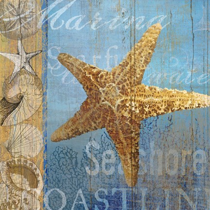 Framed Starfish and sea Print