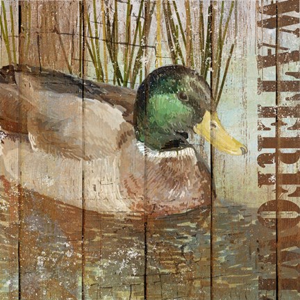 Framed Open Season Mallard Print