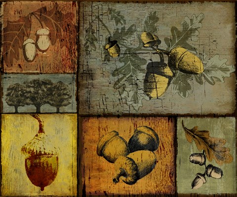 Framed Pines and Oak II Print