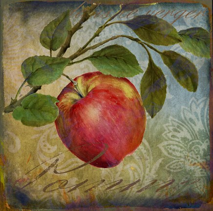 Framed From The Grove Apple Print