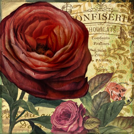 Framed Rouge From the Garden IV Print