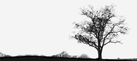 Framed Almost Winter Print