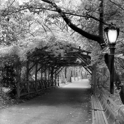 Framed Central Park Pergola Print