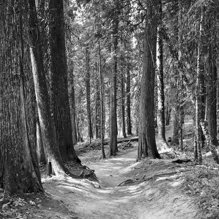 Framed Mountain Hike Print