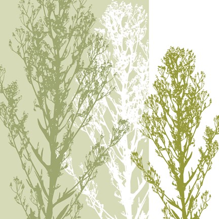 Framed Gossamer Greens Print