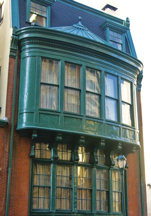 Framed Green Window Print