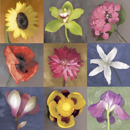 Framed Flower Nine Print