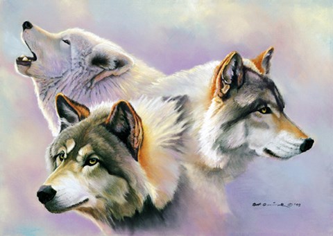 Framed Wolves are Forever Print
