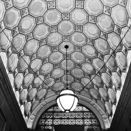 Framed Ceiling Detail Print