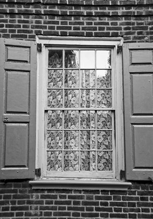 Framed Lace Curtain Print