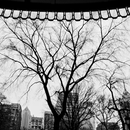 Framed Park View I Print