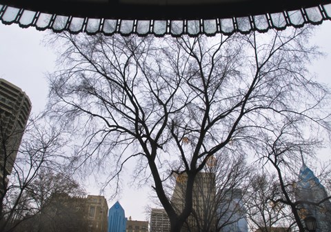 Framed Park View II (Color) Print