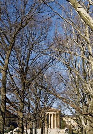 Framed Philadelphia Museum (Trees -Color) Print