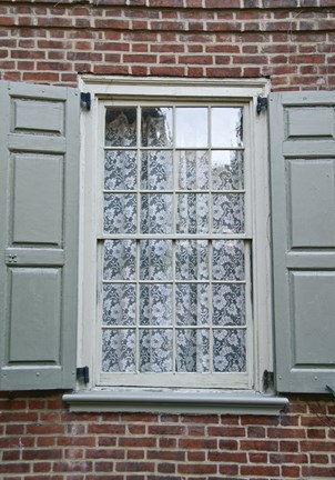 Framed Lace Curtain (Color) Print