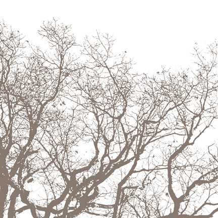 Framed Majesty II Print