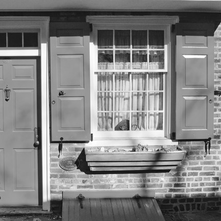 Framed Red Door, Red Shutters (b/w) Print
