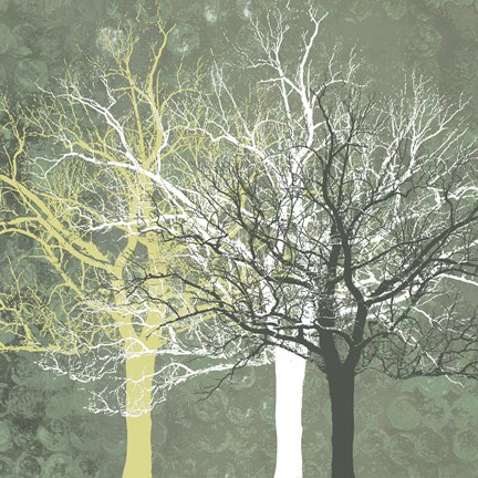 Framed Silent Forest Print