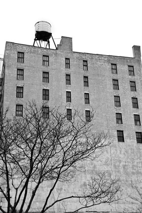 Framed Twenty-six Windows (b/w) Print