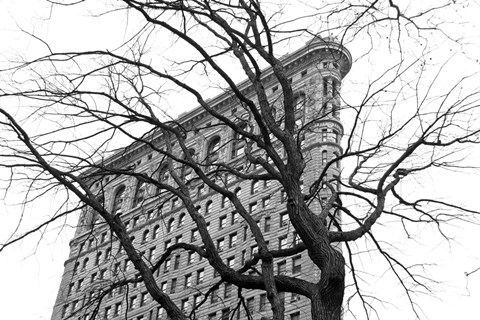Framed Flatiron with Tree (b/w) Print