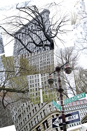 Framed Flatiron Collage Print