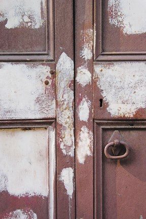 Framed Painted Door Print