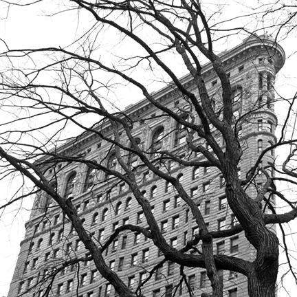 Framed Flatiron with Tree (b/w) (detail) Print