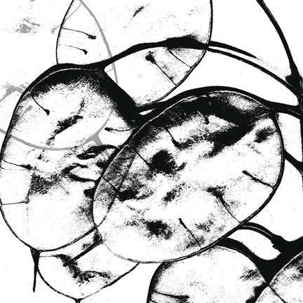 Framed Silver Dollars II Print