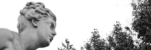 Framed Statue I Print