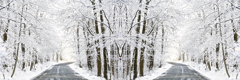 Framed Two Roads Diverged in a Snowy Wood Print