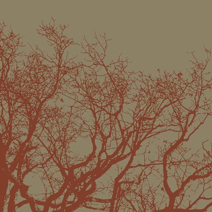 Framed Cinnamon Tree II Print