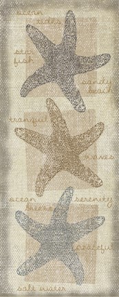 Framed Star Fish Print