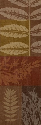 Framed Foliage II Print