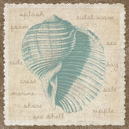 Framed Shell Print