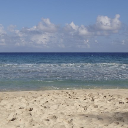 Framed Beach IV Print