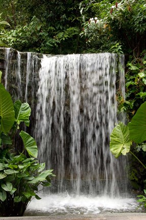 Framed Singapore, National Orchid Garden, Waterfall Print