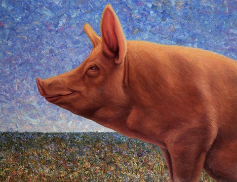 Framed Free Range Pig Print